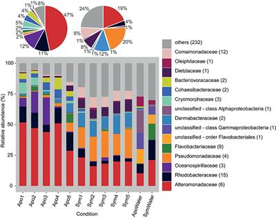 Distinct Bacterial Communities Associated with the Coral Model Aiptasia in Aposymbiotic and Symbiotic States with Symbiodinium
